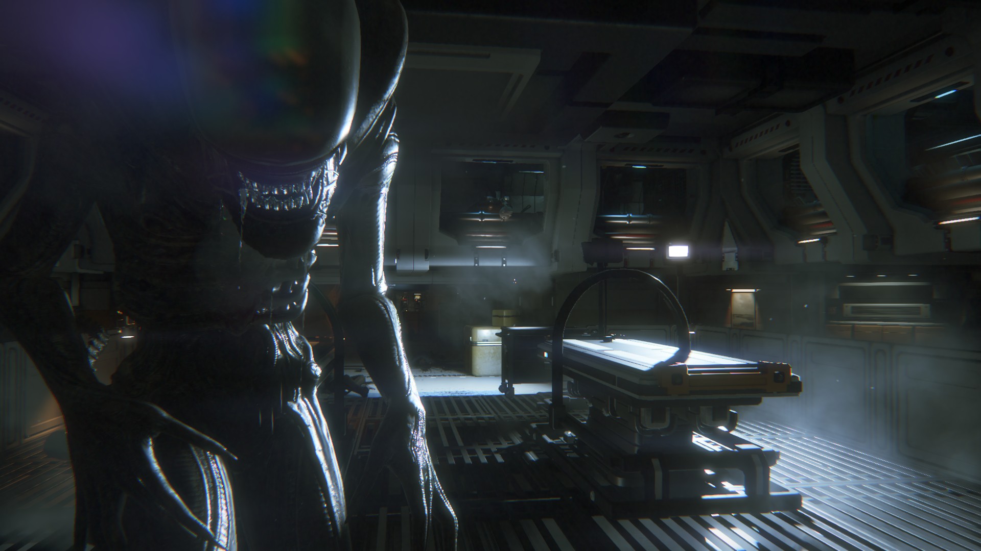 AI_LAUNCH_SCREEN010_1411636920.jpg