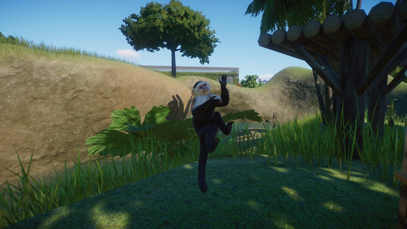 air monkey air guitar.jpg