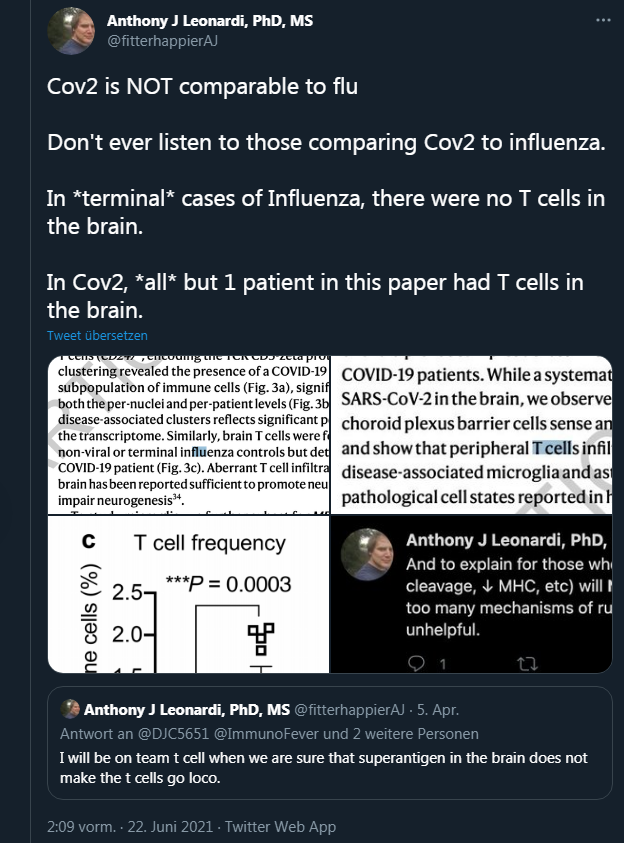 AJ_TCells_in_brain.PNG