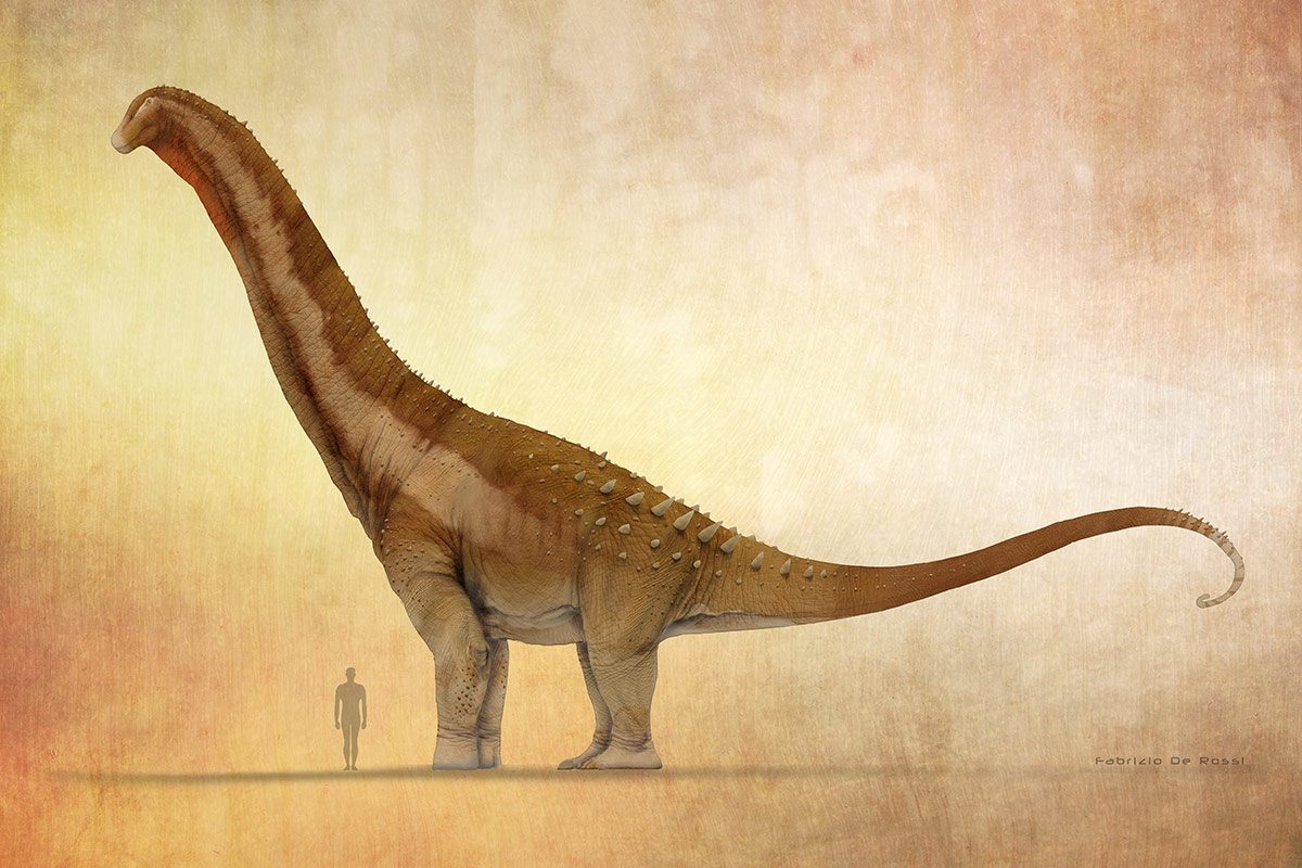alamosaurus_fabrizio-de-rossi.jpg