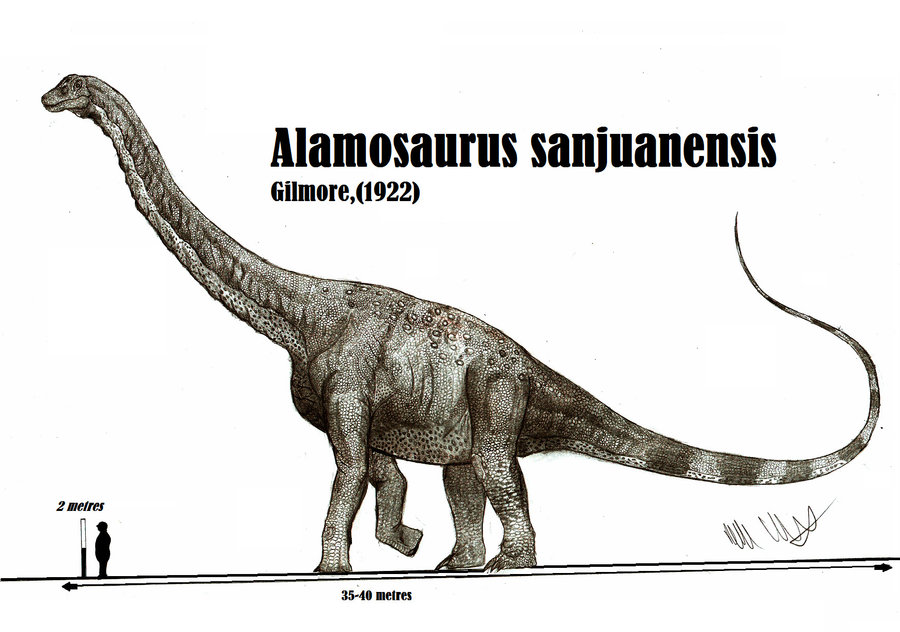 alamosaurus_sanjuanensis_by_teratophoneus-d5e7ezs.jpg