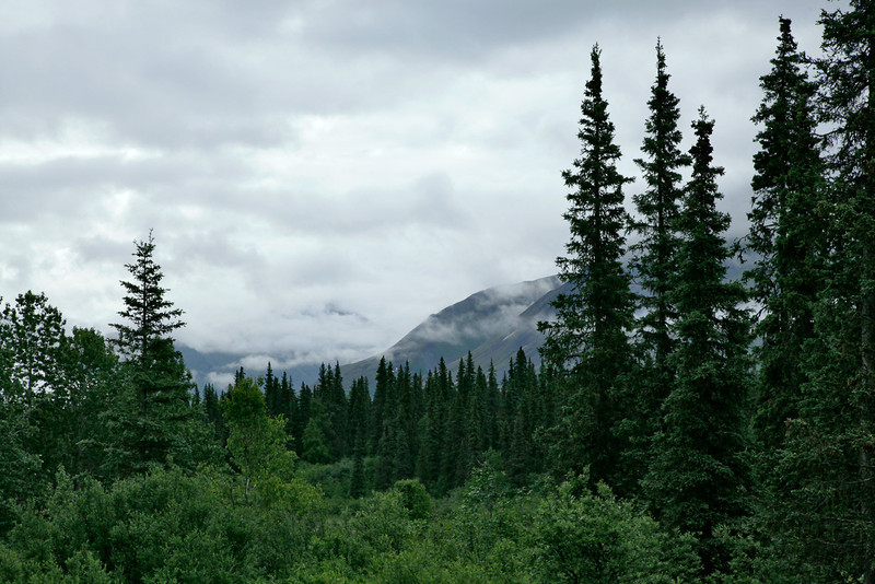 AlaskaRoadFromDenali-L.jpg