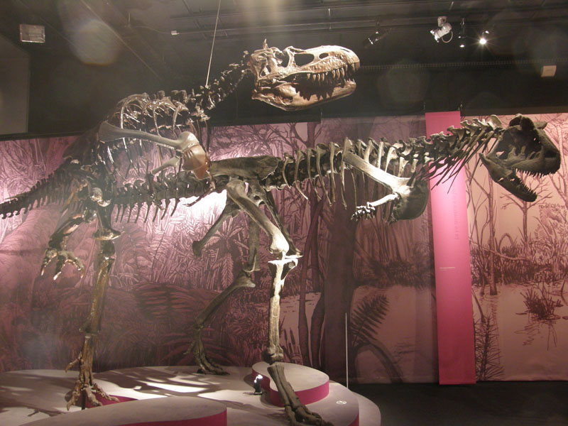 alberto_carno.jpg