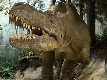 Albertosaurus2.png