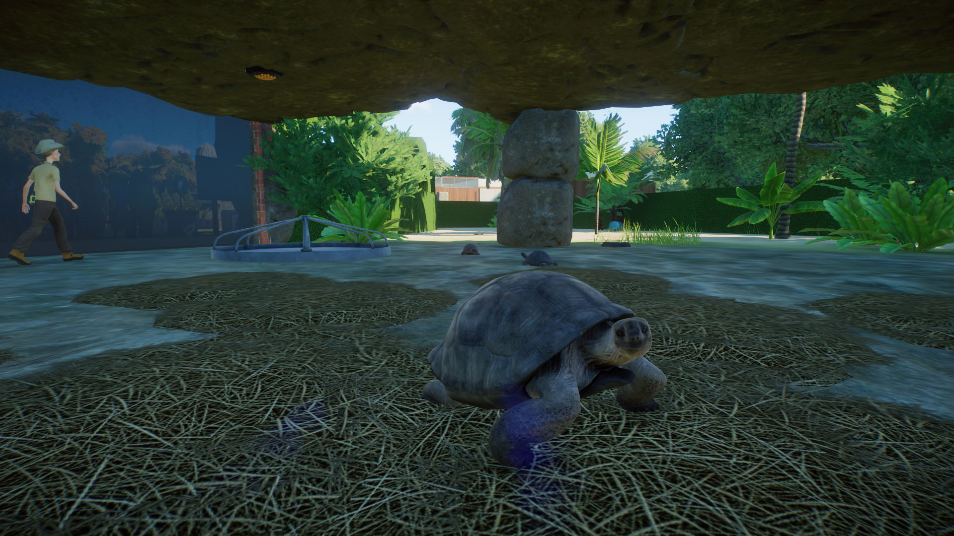 aldabra 2.jpg