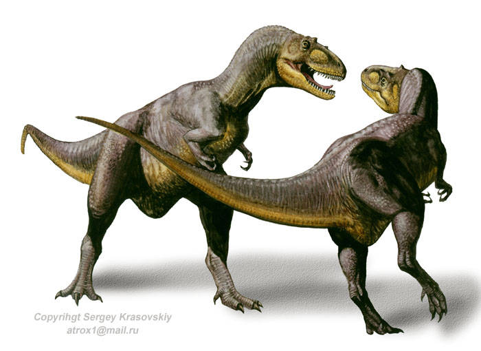 Alectrosaurus-olseni.jpg