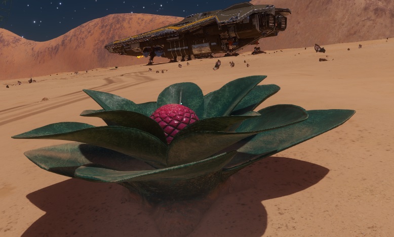 Aleoioa Gravis.jpg