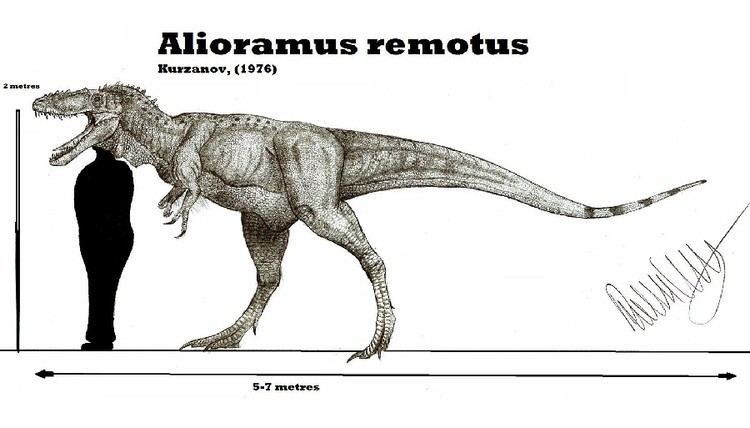 alioramus-74f4201a-b522-4fab-9e59-490616d3d28-resize-750.jpeg