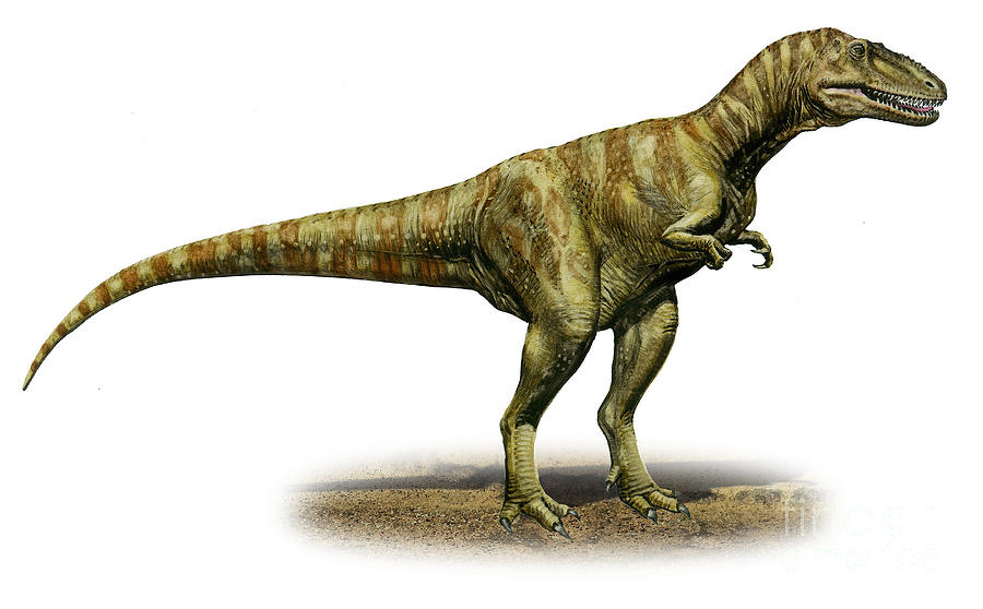 alioramus-remotus-a-prehistoric-era-sergey-krasovskiy.jpg