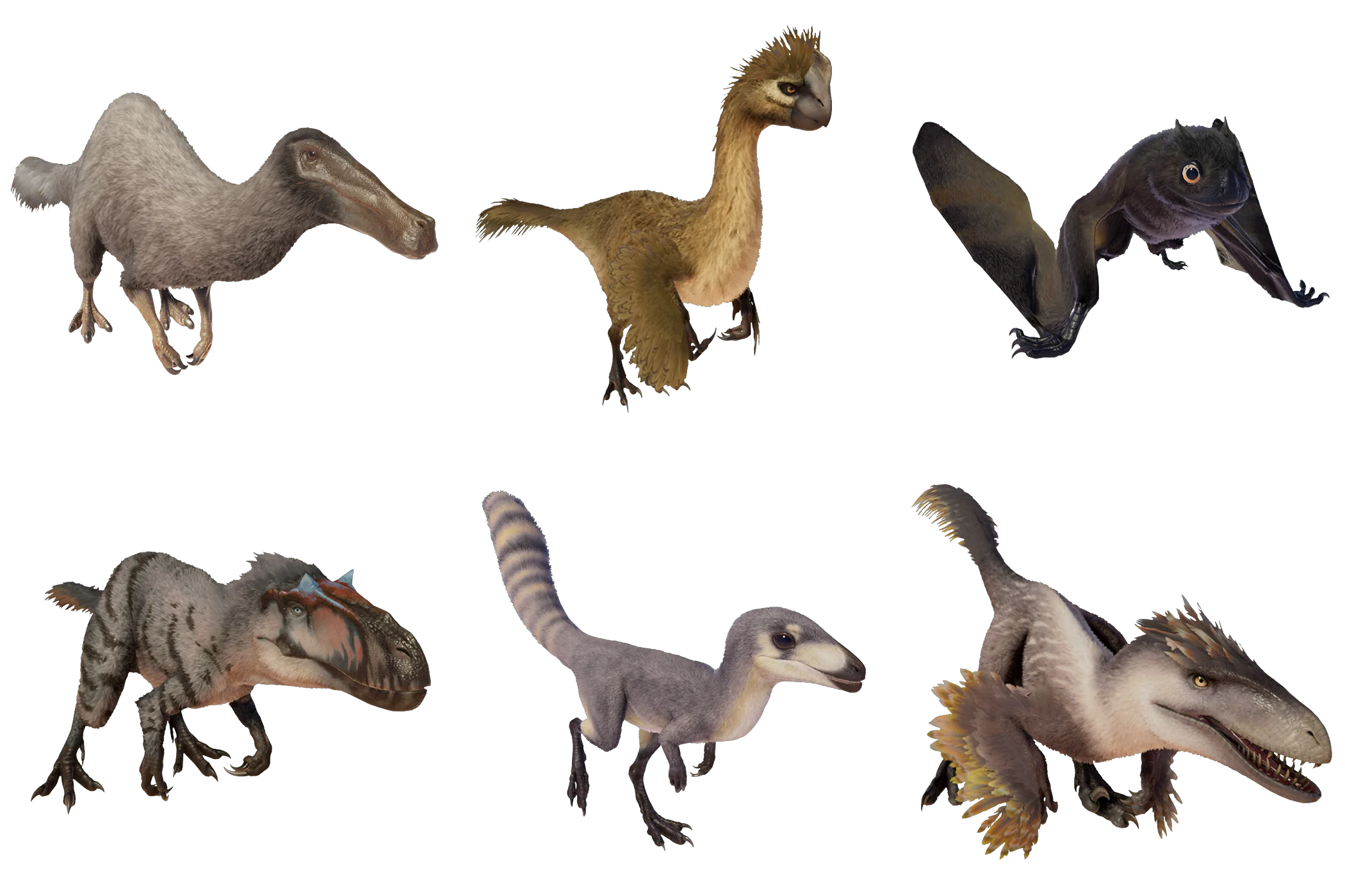 All Feathered Species.png