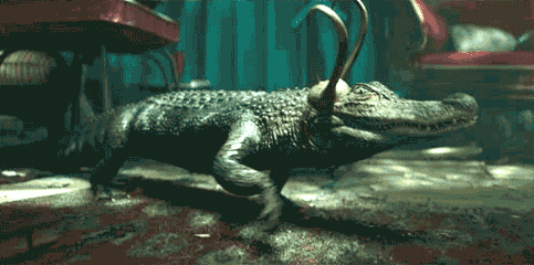 Alligator-Loki2.gif