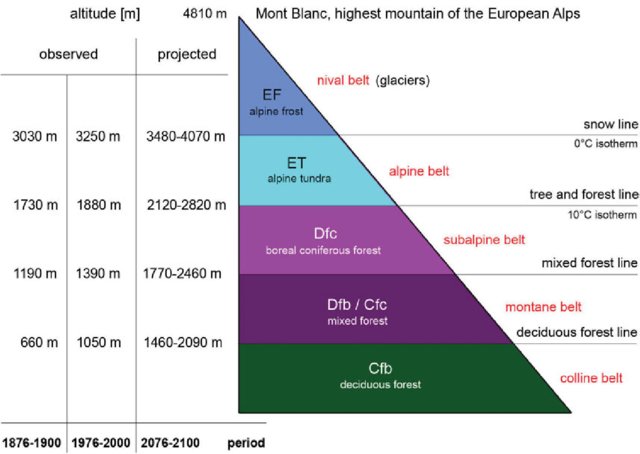 Altitudinal-belts-of-the-Alps-showing-the-Koeppen-Geiger-climate-zones-together-with-their_W640.jpg