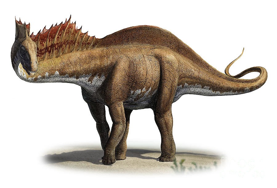 amargasaurus-cazaui-a-prehistoric-era-sergey-krasovskiy_b3f2 (1).jpg