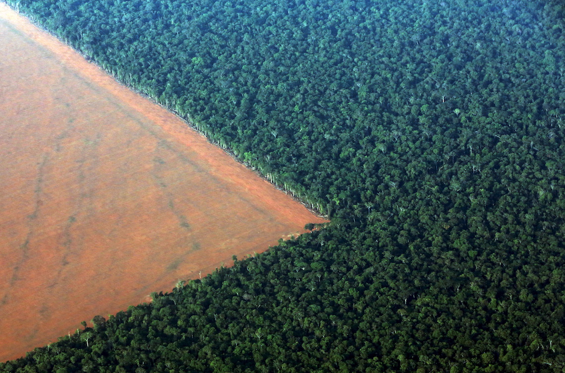 amazon-rainforest.jpg