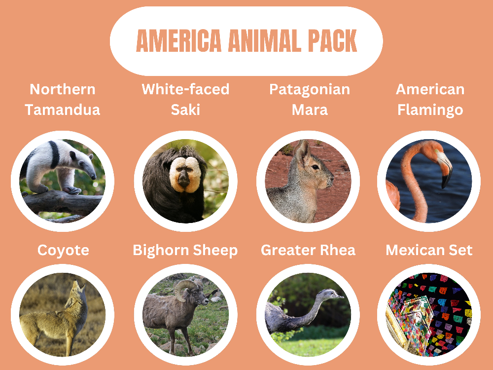 America Animal Pack.png