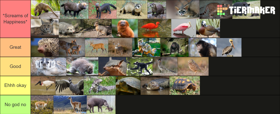 americaspacktierlist.png