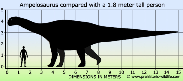 ampelosaurus-size.jpg