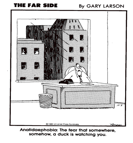 Anatidaephobia's_Origin.png