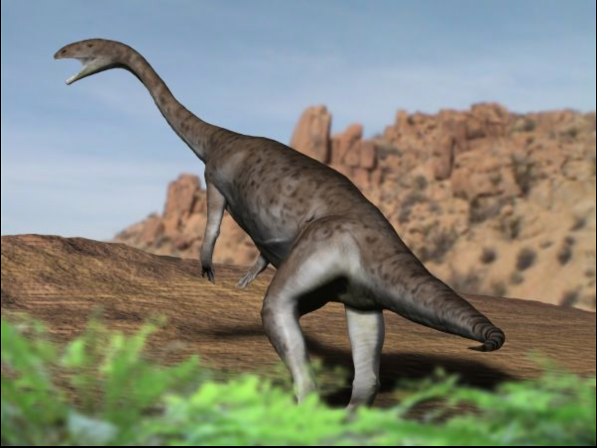 Anchisaurus.png