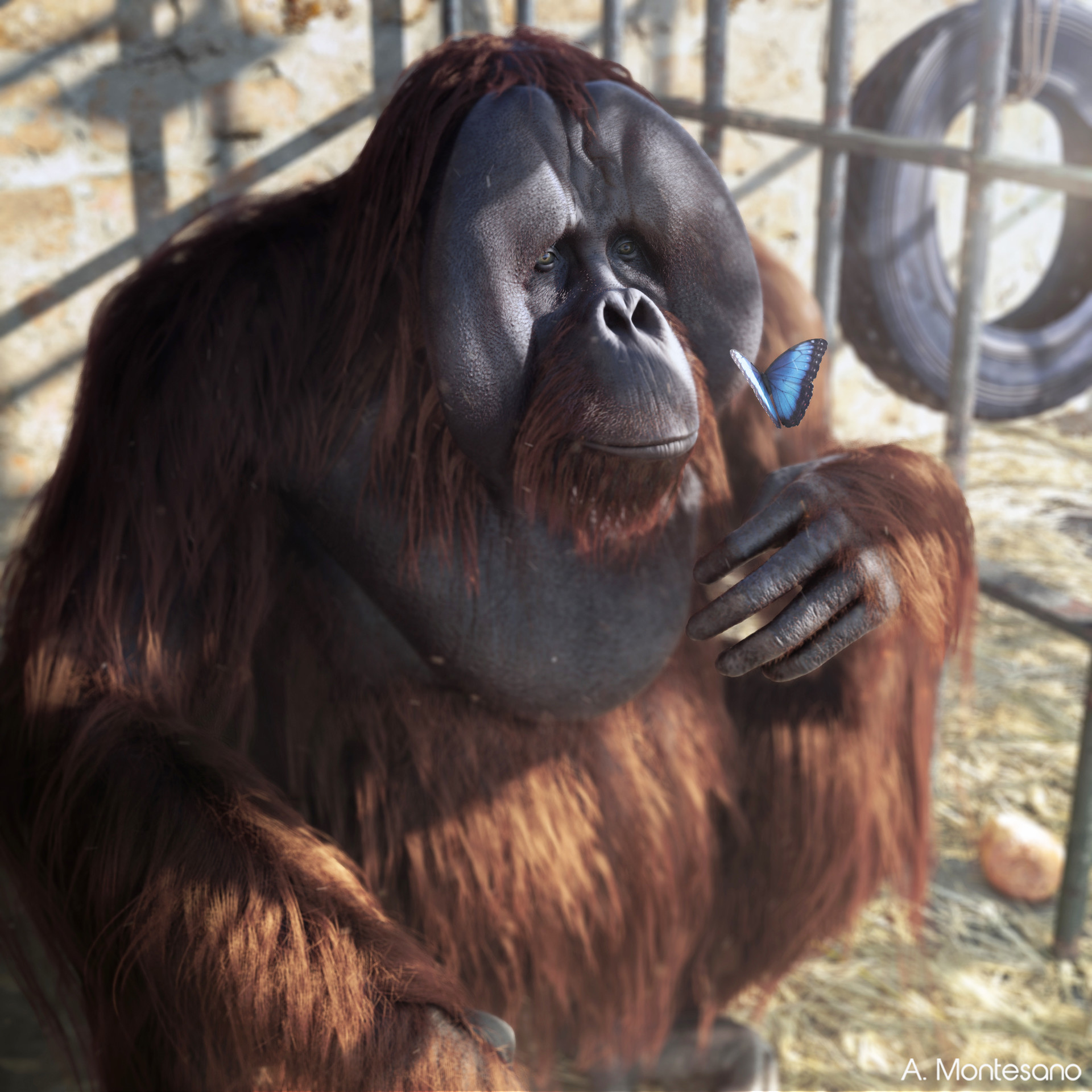 andrea-montesano-orango-filtri016.jpg
