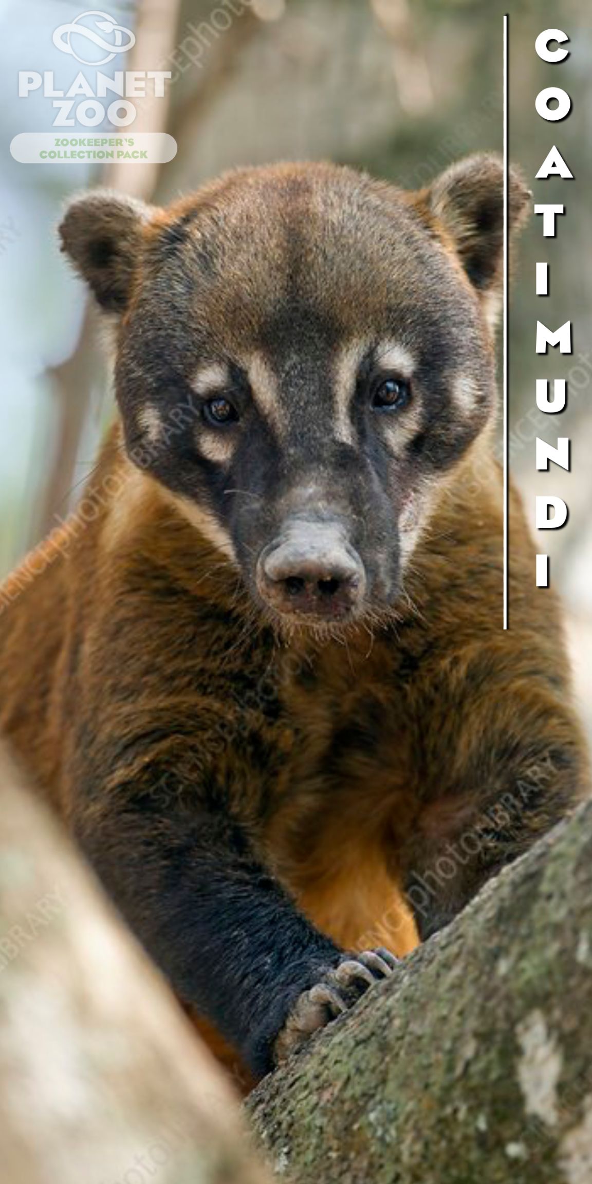 Animal Poster-2.jpg