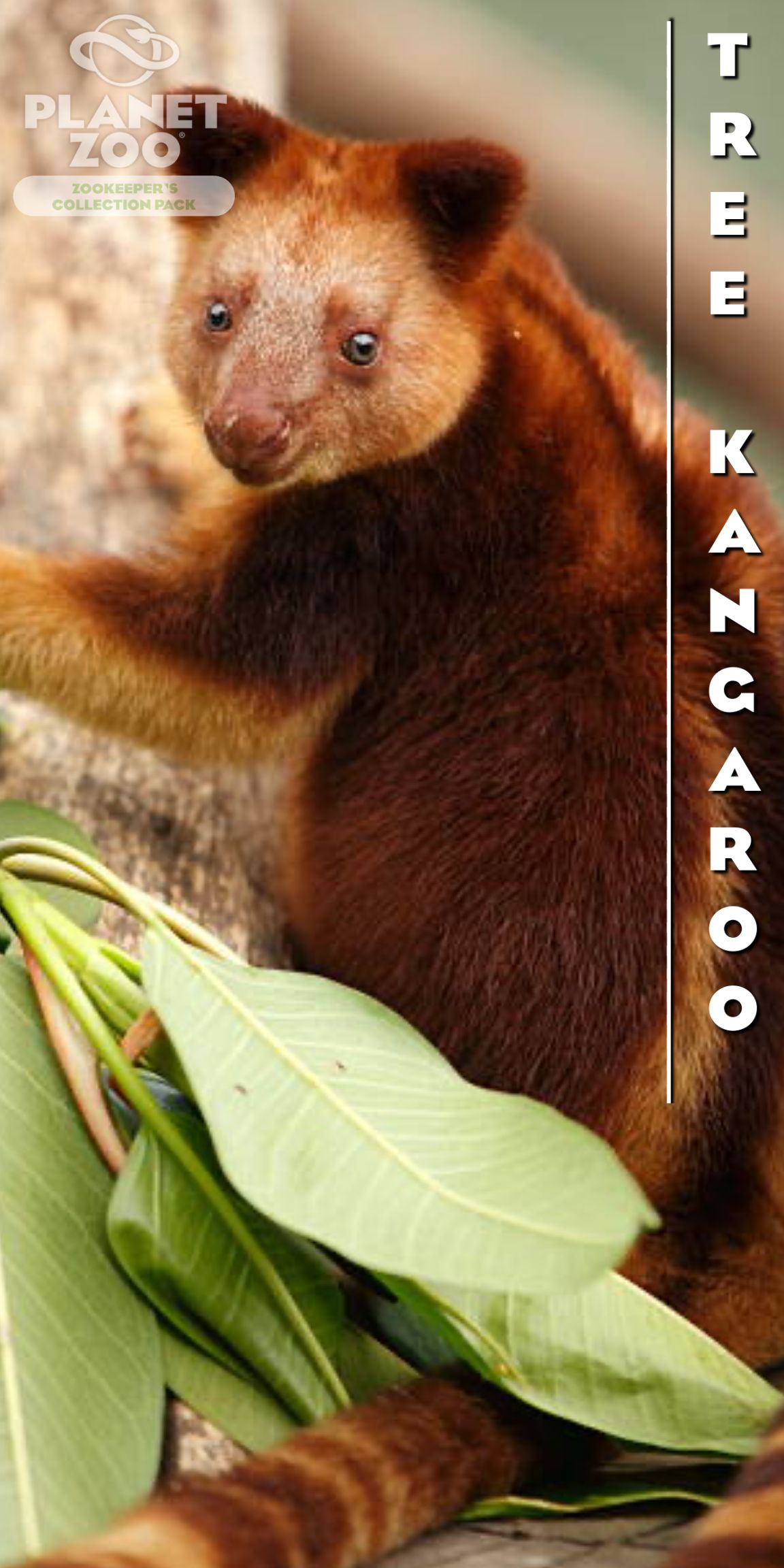 Animal Poster-4.jpg