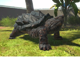 animalindividualsalligatorsnapping_turtle-female0.PNG