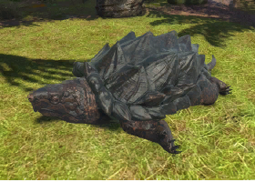 animalindividualsalligatorsnapping_turtle-male0.PNG