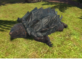 animalindividualsalligatorsnapping_turtle-male2.PNG