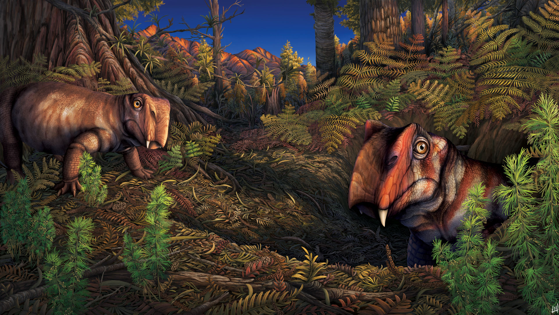 antarctic_lystrosaurus_burrow_by_prehistorybyliam_debgiyb-fullview.jpg