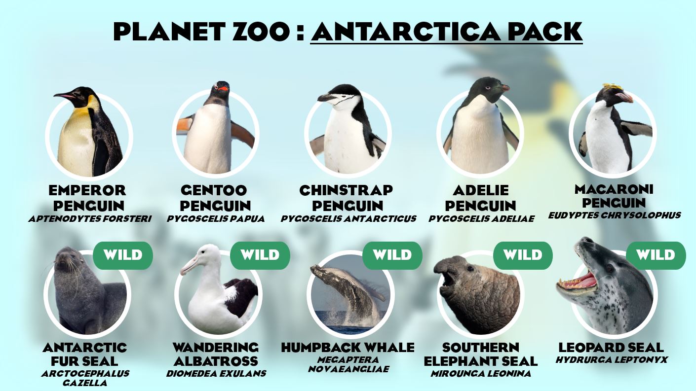 AntarcticaPack.JPG