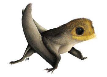 anurognathus_ammoni_by_prehistorybyliam_ddlfp3h-250t.jpg