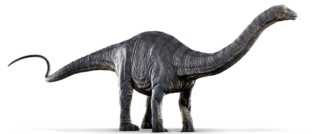 Apatosaurus.png