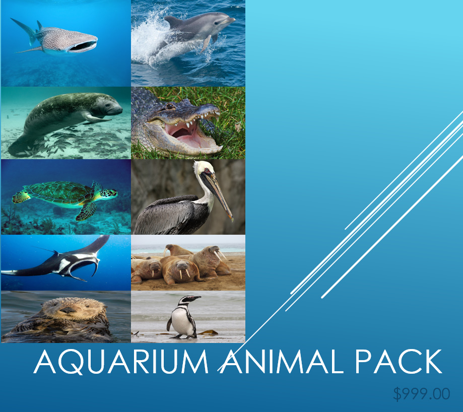 Aquarium Animal Pack.jpg