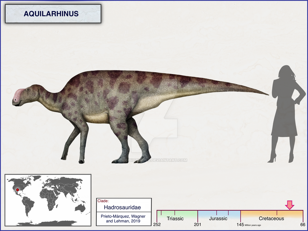 aquilarhinus_by_cisiopurple_ddbn98d-pre.png