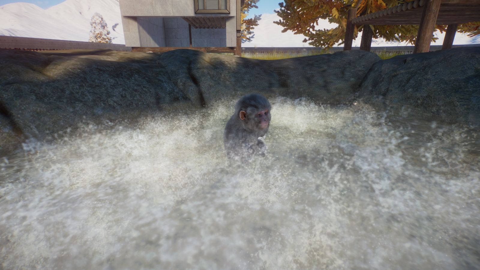 Arctic.jpg