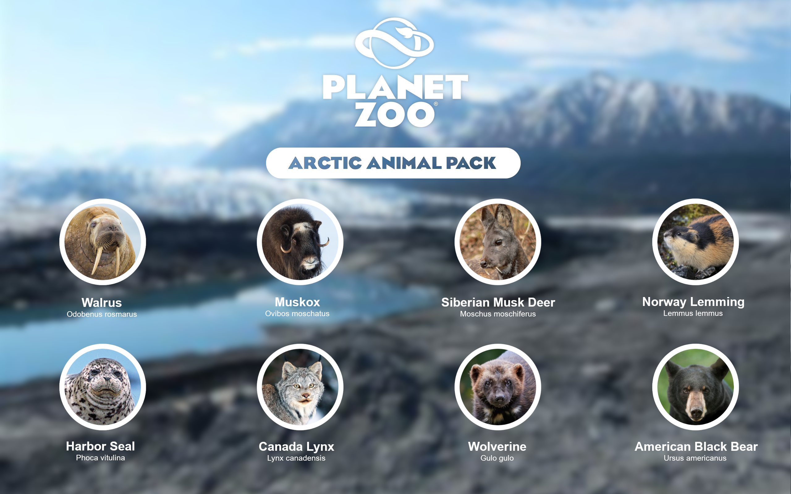 Arctic.png