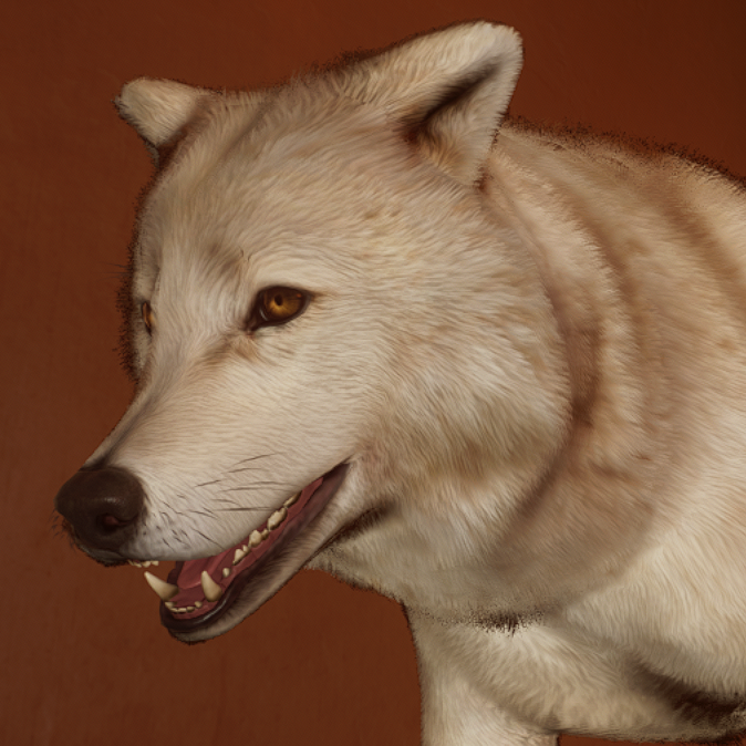 Arctic Wolf Avatar.png