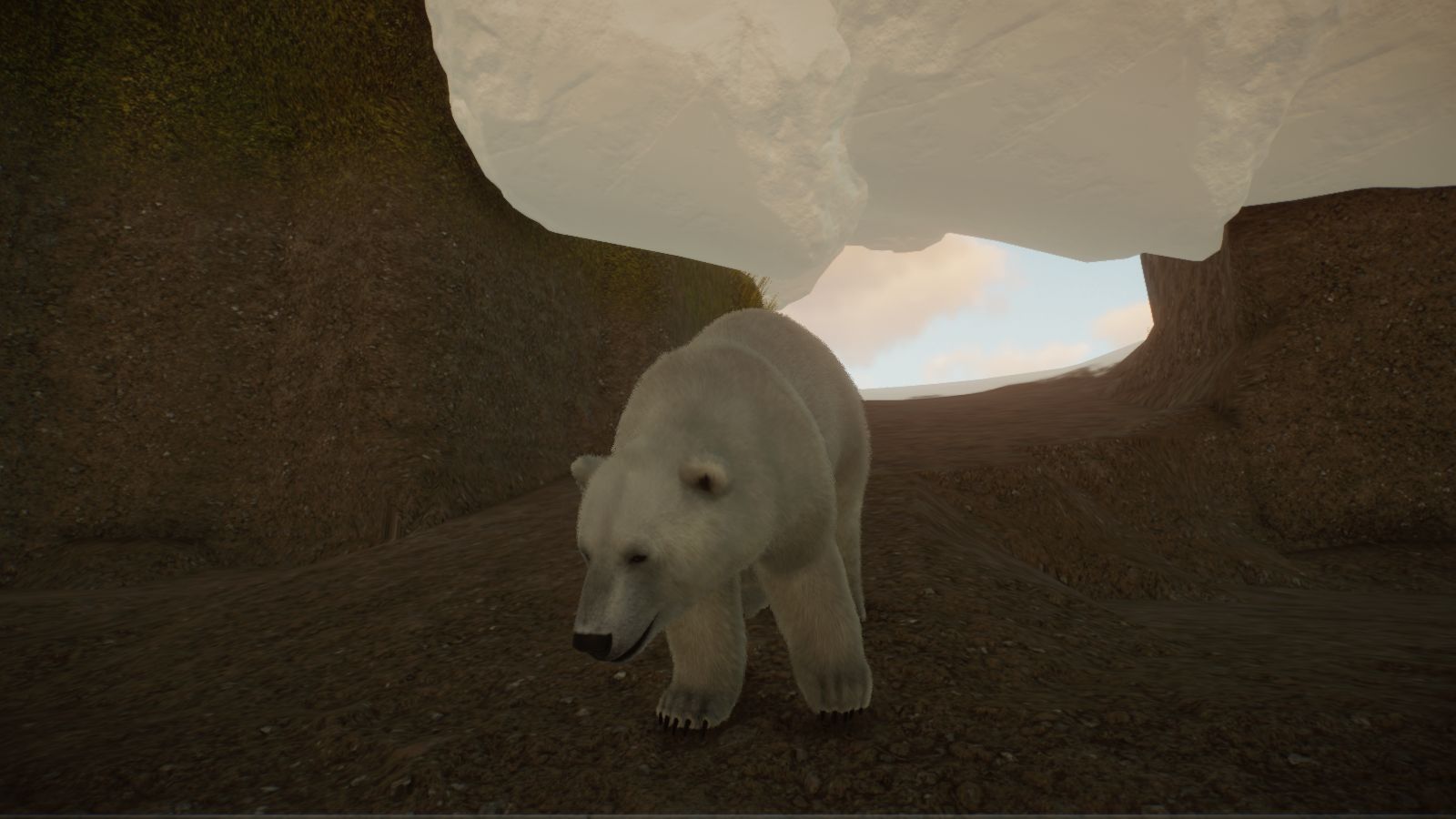 Arctic2.jpg