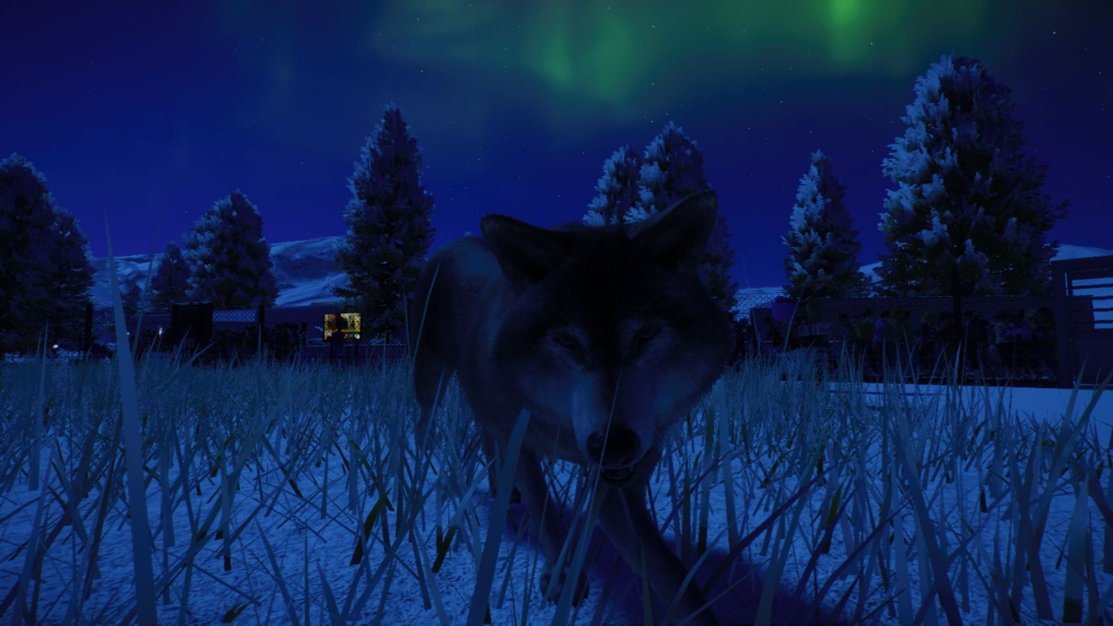 Arctic25.jpg