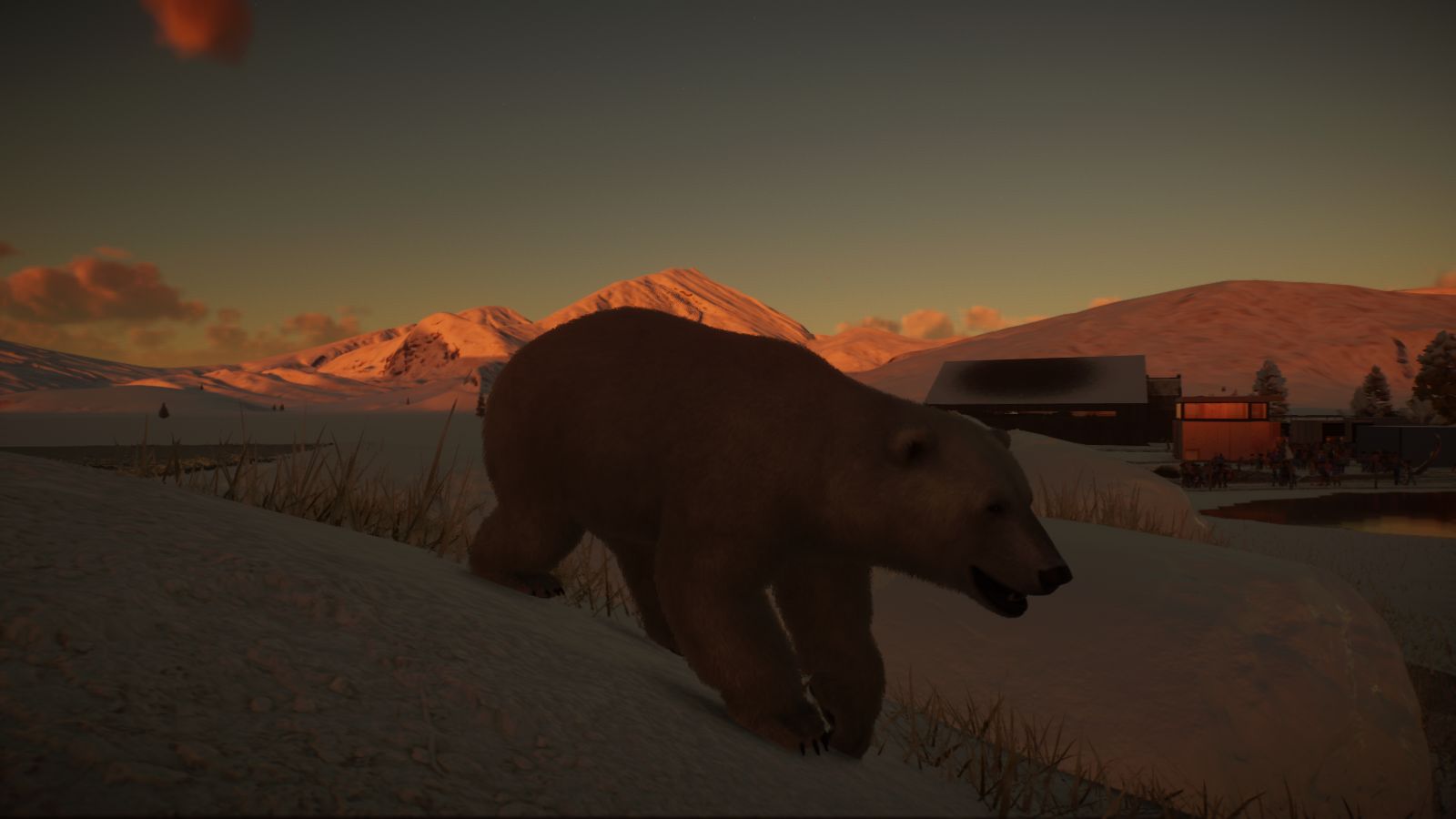 Arctic3.jpg