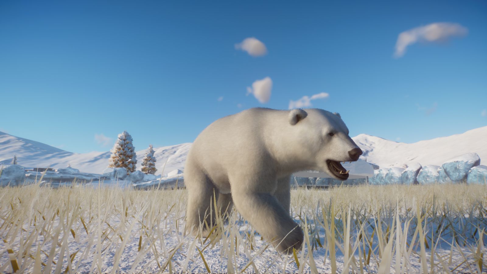 Arctic4.jpg