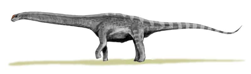 argentinosaurus (1).jpg