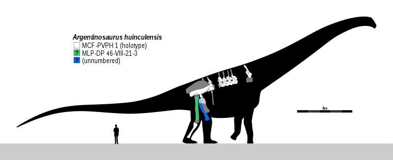 Argentinosaurus_9.svg.png