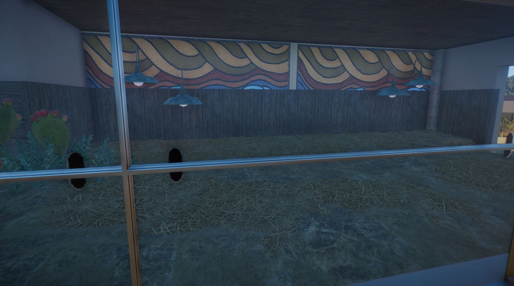 armadillo inside.JPG
