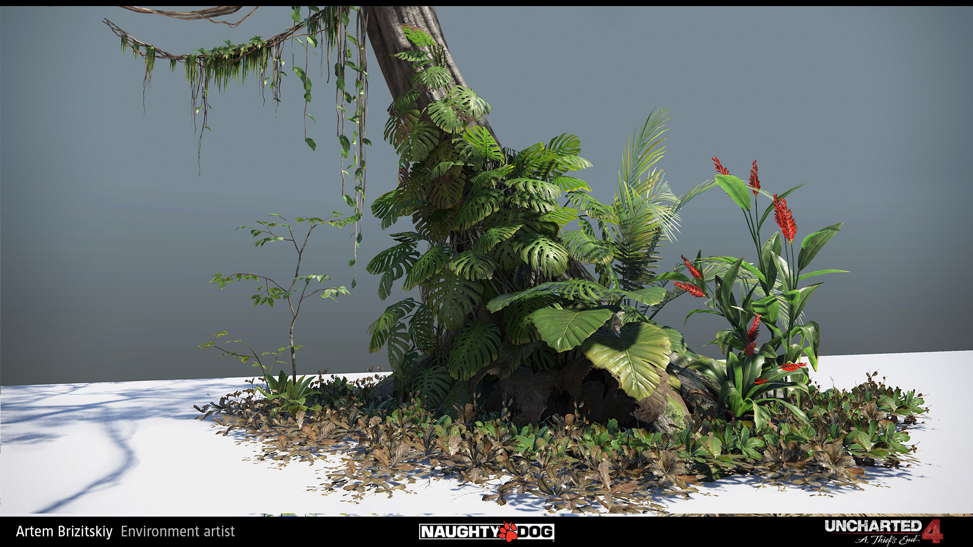 artem-brizitskiy-plants-2.jpg