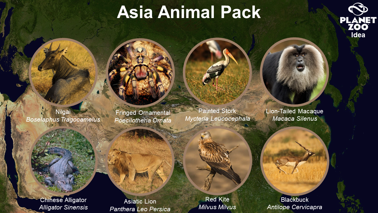 Asia Animal Pack.png