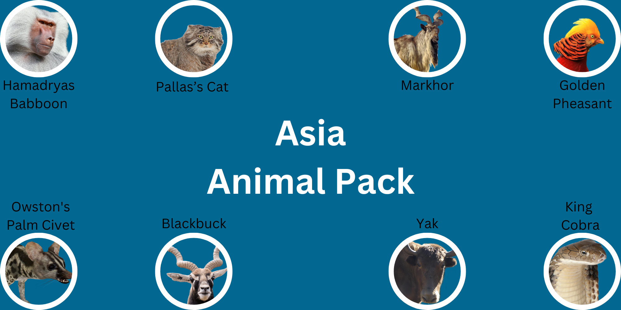Asia Animal Pack.png