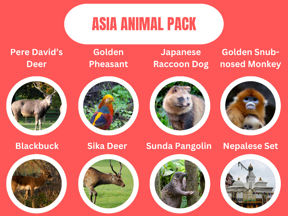 Asia Animal Pack.png