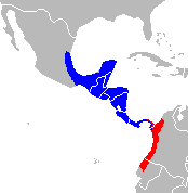 Ateles_geoffroyi_range-cropped.png